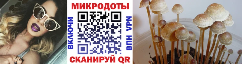 Псилоцибиновые грибы GOLDEN TEACHER Анжеро-Судженск